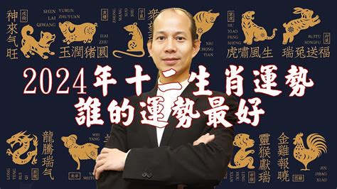 龍年 幸運色|2024龍年十二生肖幸運色公開！從流年運勢挑精品包。